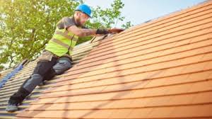 Best Roof Ventilation Installation  in Madelia, MN