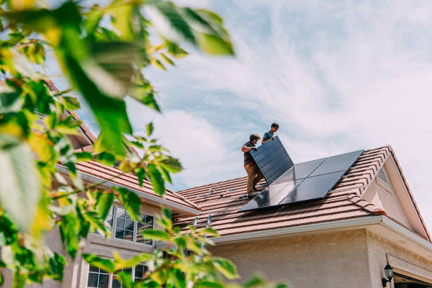 Best Roof Insulation Installation  in Madelia, MN