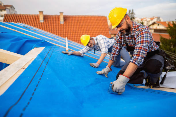Best Chimney Flashing Repair  in Madelia, MN