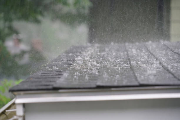 Best Metal Roofing Installation  in Madelia, MN