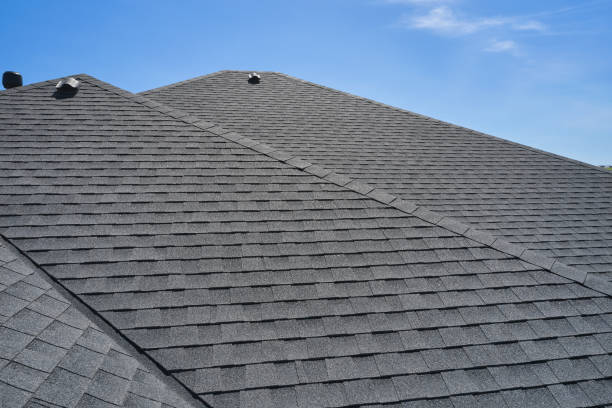 Best Roof Coating Services  in Madelia, MN