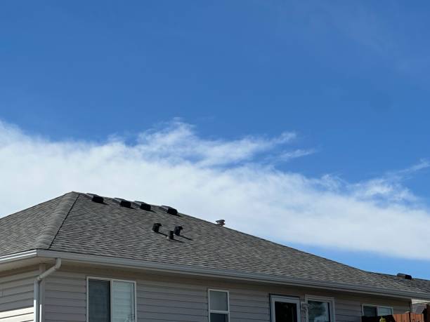 Reliable Madelia, MN Roofing Service Solutions